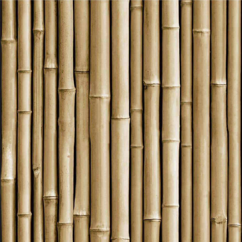 Bamboo Peel and Stick Wallpaper | Removable Vinyl Wall Covering | 28.18 Sq. Ft. Roll