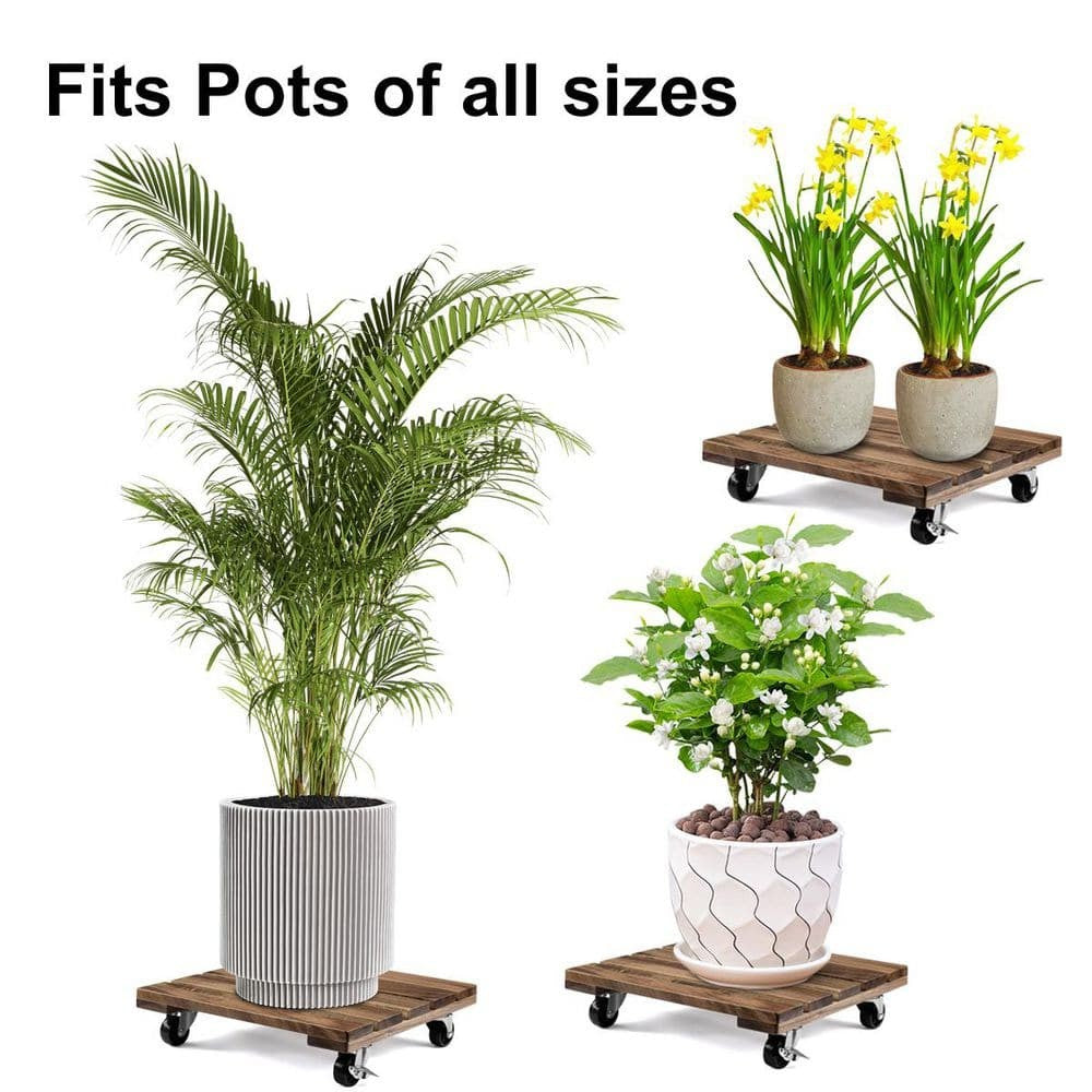 2 Pack 12" Square Wooden Plant Caddy with Lockable Wheels – Heavy Duty Acacia Wood Plant Stand for Large Pots, Indoor & Outdoor Use