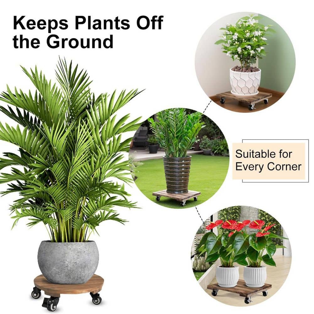 2 Pack 12" Square Wooden Plant Caddy with Lockable Wheels – Heavy Duty Acacia Wood Plant Stand for Large Pots, Indoor & Outdoor Use