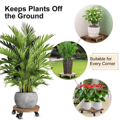 2 Pack 12" Square Wooden Plant Caddy with Lockable Wheels – Heavy Duty Acacia Wood Plant Stand for Large Pots, Indoor & Outdoor Use